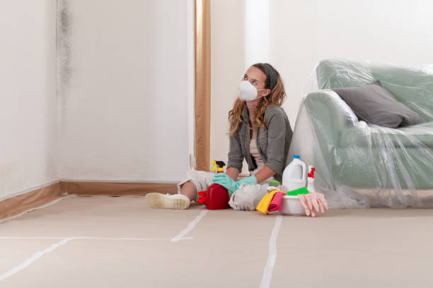 Reliable Black Mold Removal contractor in Bryans Road, MD by WQB Mold Removal